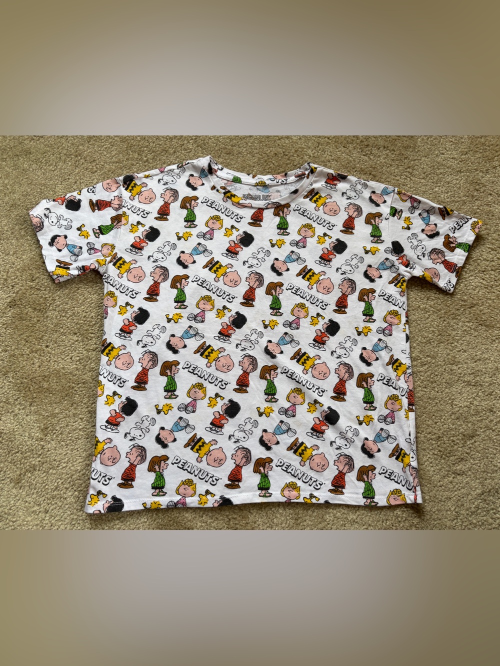 Peanuts Snoopy Charlie Brown Crop Tee